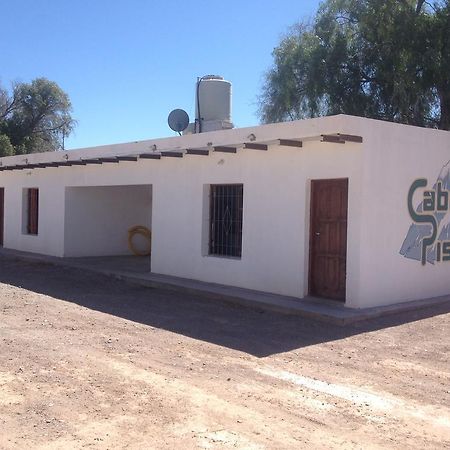 Fiambala Cabanas Pissis Fiambalá Exterior foto